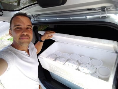 Distribuição de refeiçoes para a população de rua..